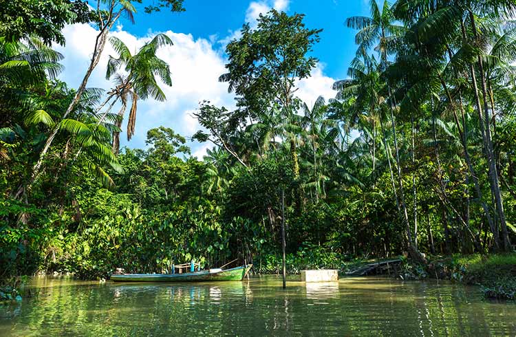 Amazone jungle tour
